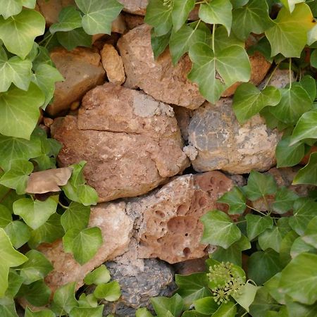 La Casa De Piedra, Una Ventana Al Paraiso Matet Экстерьер фото