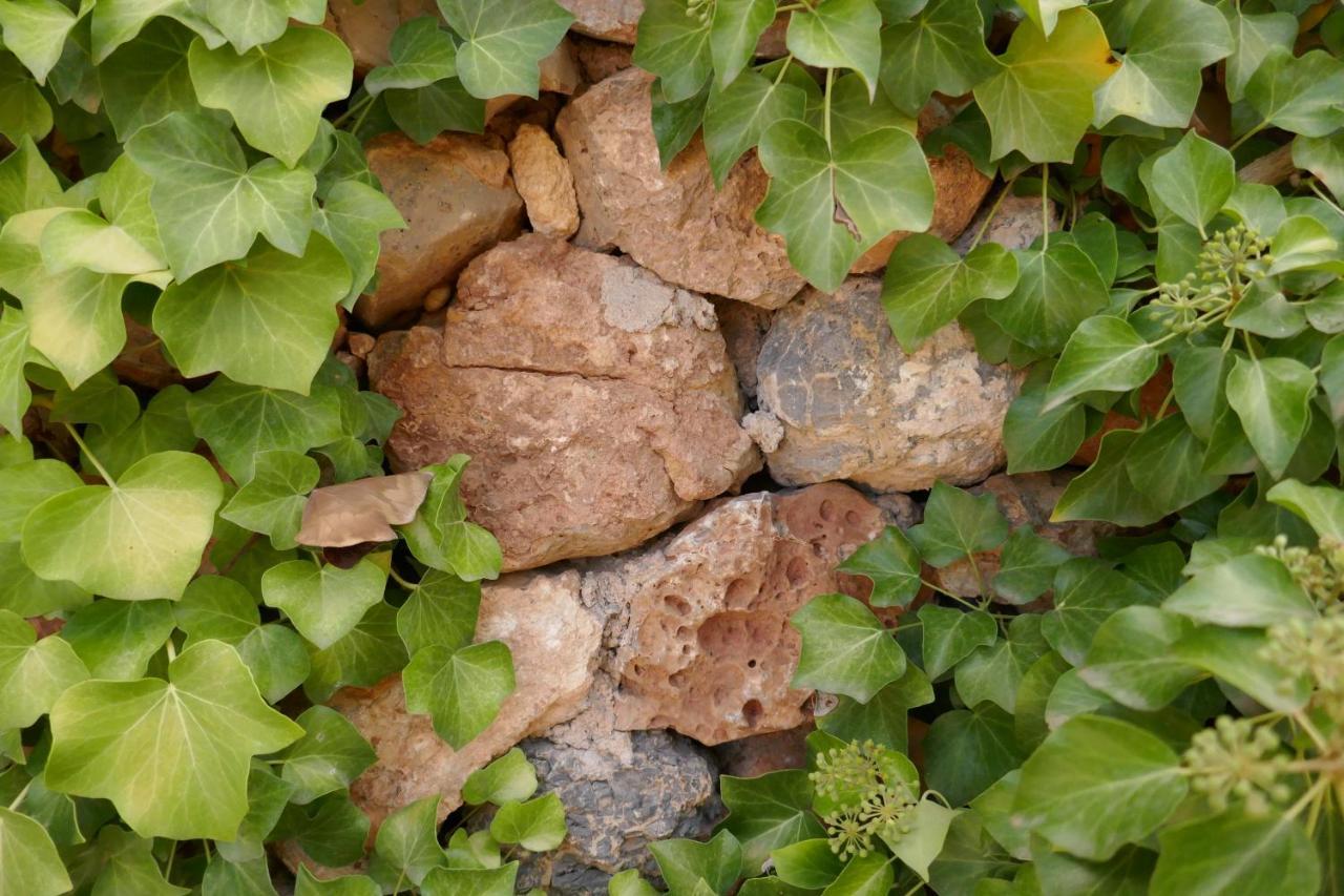 La Casa De Piedra, Una Ventana Al Paraiso Matet Экстерьер фото
